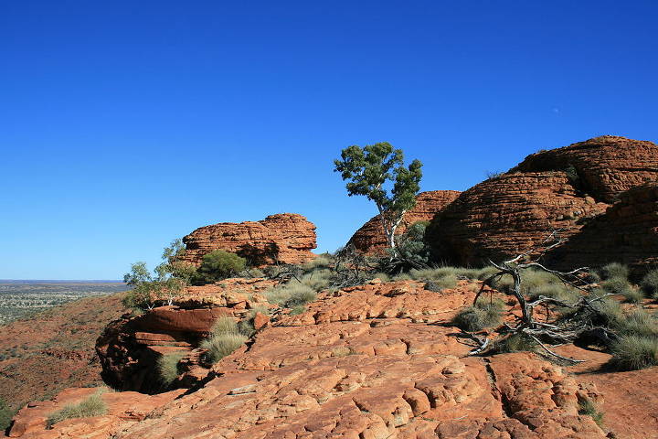 Sehenswürdigkeiten in Australien - View from the lip of Kings Canyon, Northern Territory, Australia.