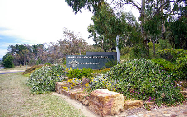 Australian National Botanic Gardens in Canberra - Sehenswürdigkeiten Australien - Australia