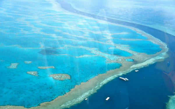 The Great Barrier Reef an der Nordostküste Australiens - Sehenswürdigkeiten Australien - Australia