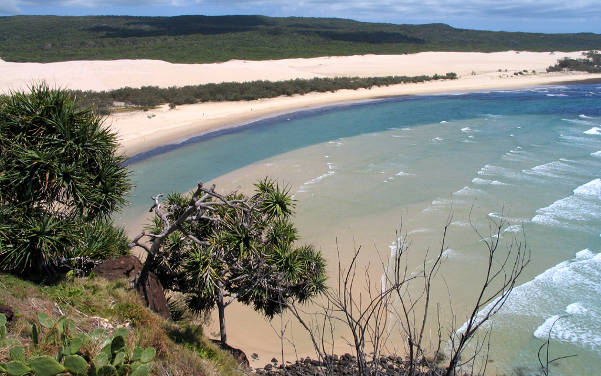 Fraser Island im Great Sandy National Park mit dem Lake McKenzie - Sehenswürdigkeiten Australien - Australia