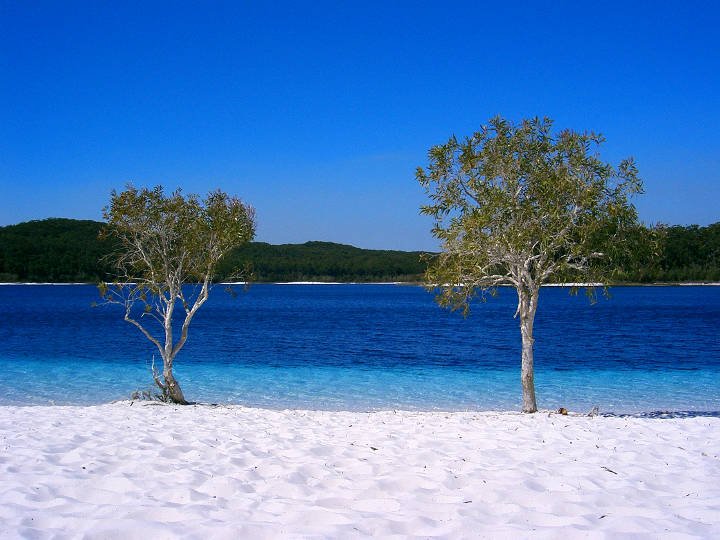 Sehenswürdigkeiten in Australien -  Lake McKenzie Beach, Fraser Island, Queensland, Australia.