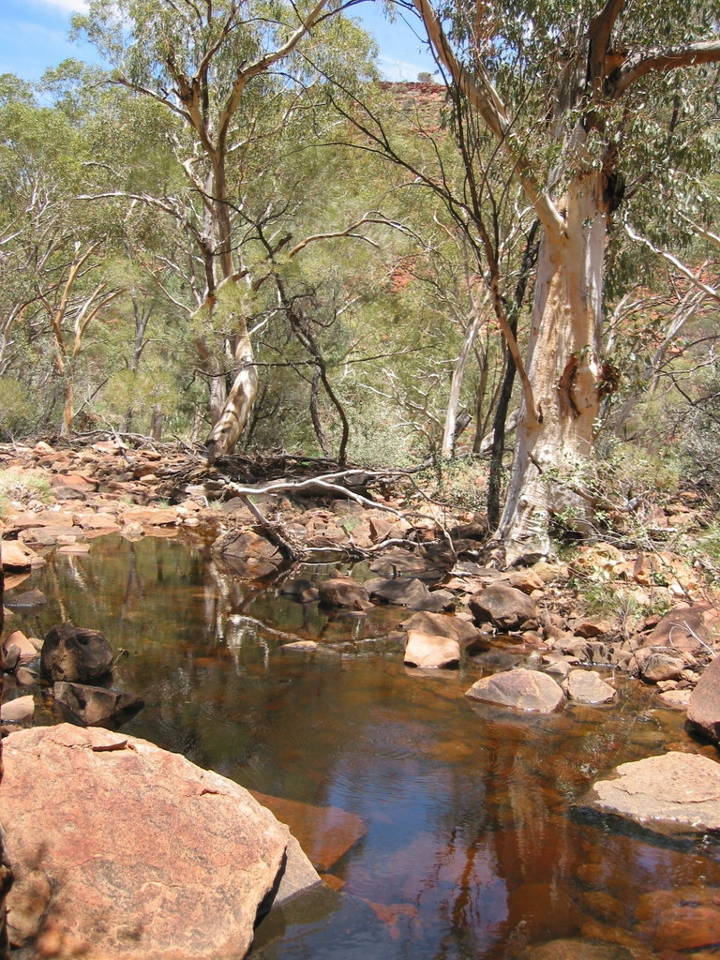 Sehenswürdigkeiten in Australien - Kings Canyon, creek, Australia.