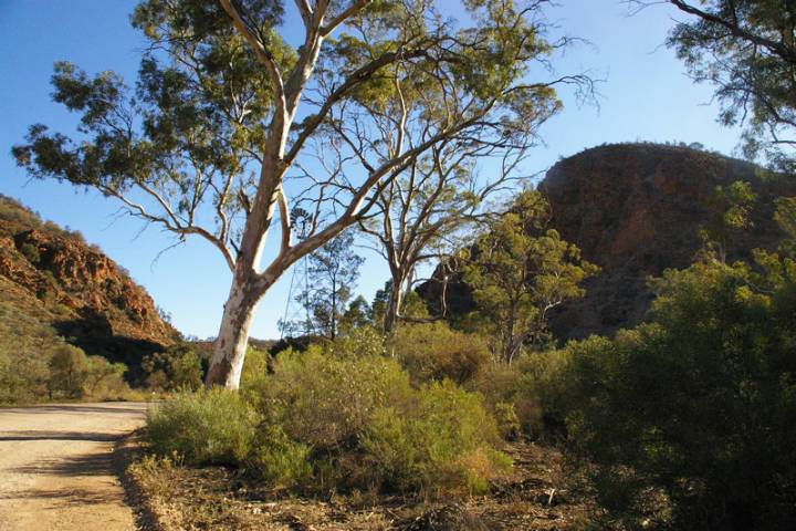 Sehenswürdigkeiten in Australien - Italowie Gap, Gammon Ranges, South Australia. Taken by myself.