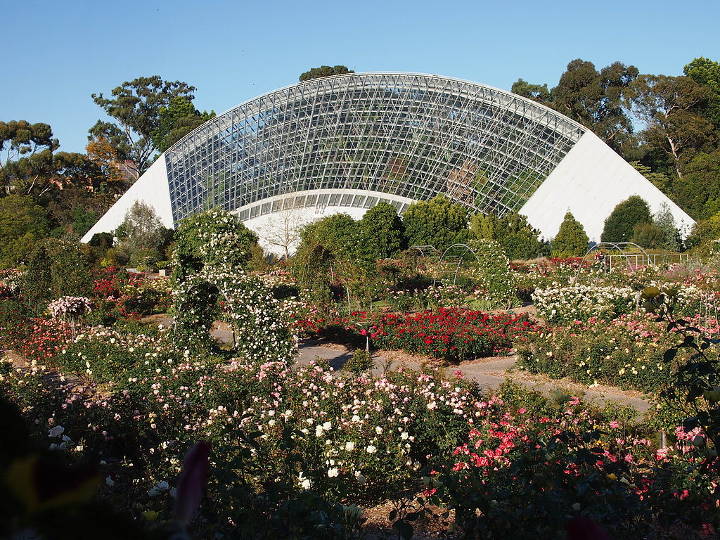 Sehenswürdigkeiten in Australien - Rose garden at the Adelaide Botanic Garden
