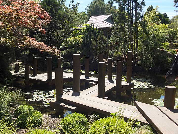 Sehenswürdigkeiten Australien - Japanese garden in the Botanical Gardens, Hobart, with pond and wooden footbridge.