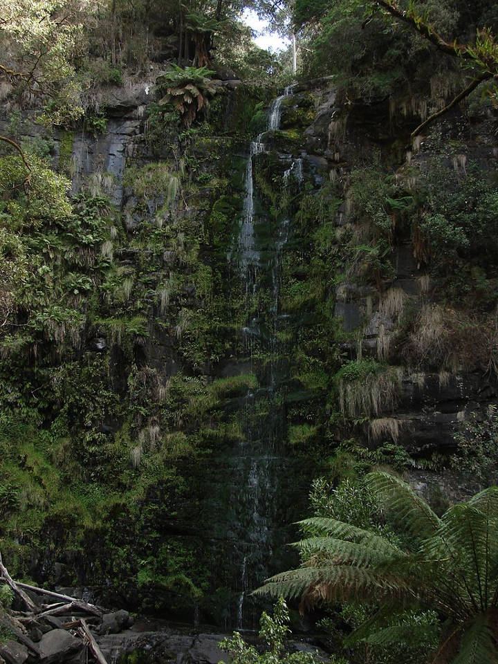 Sehenswürdigkeiten in Australien - Erskine Falls, Victoria, Australia.