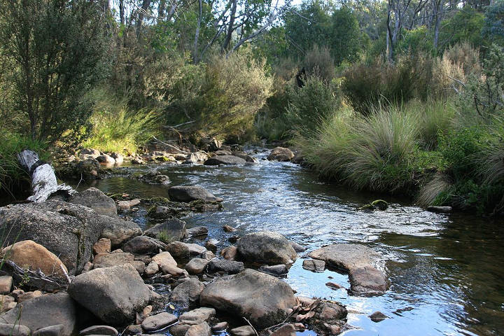 Sehenswürdigkeiten in Australien - Murry River, near its source, just west of Cowombat Flat, Alpine national park, Victoria